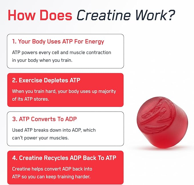 SteelFit Creapure Creatine Monohydrate Gummies for Men &amp Women Juicy Watermelon - Gym Workout Nutritional Supplements for Muscle Gain Brain Health &amp Strength Building Dietary Supplement 120