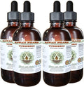 Hawaii Pharm Turmeric Alcohol-Free Liquid Extract Professional Grade Small Batch Crafted Turmeric (Curcuma Longa) Dried Rhizome Glycerite Natural Herbal Supplement 4x4 fl.oz