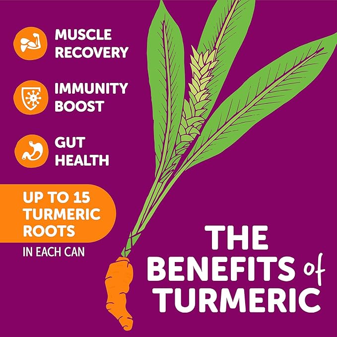 ZYN Turmeric Wellness Drink (6 Pack) Pomegranate Cranberry Flavored Turmeric Curcumin with Black Pepper No Added Sugar Low Carb &amp Low Calorie Clean Alternative
