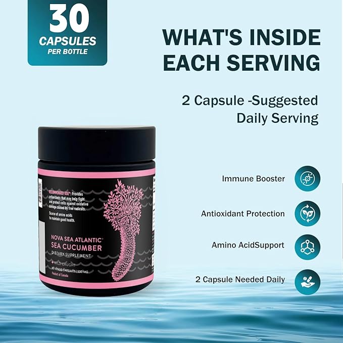 Wild Sea Cucumber Supplement Capsules Antioxidant Healthy Energy Supplement with Fucosylated Chondroitin Sulfate Collagen Glycosides Vitamins Minerals(Pack of 1)