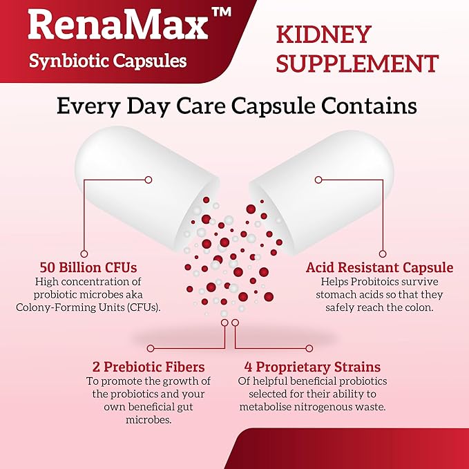 Capsule Kidney Restores &amp Kidney Care Supplement - Probiotic &amp Prebiotic Supplement to Support Normal Kidney Function - 50 Billion CFU per Capsule - Made in U.S.A (90 Caps (1 Pack))