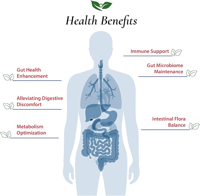 Bifidobacterium Lactis Probiotic Powder 500 Billion cfu's | Made in USA | No Additives | Direct from Manufacturer | No Third-Party Storage | Immune Support | B. Lactis |100 Gram (3.52 Oz)