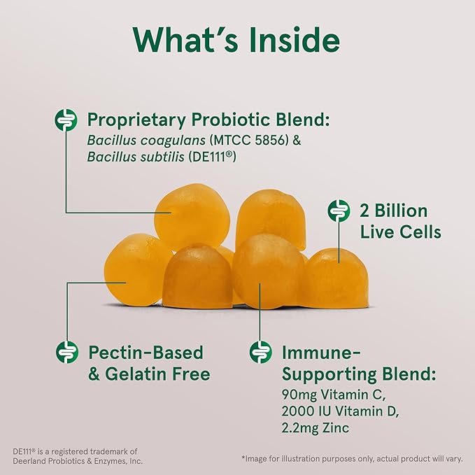 Jarrow Formulas Probiotic+ Immune Gummies 2 Billion CFU Supplement for Digestive Health and Immune Support 90 Orange Flavor Probiotic Gummies 45 Day Supply12 Packs