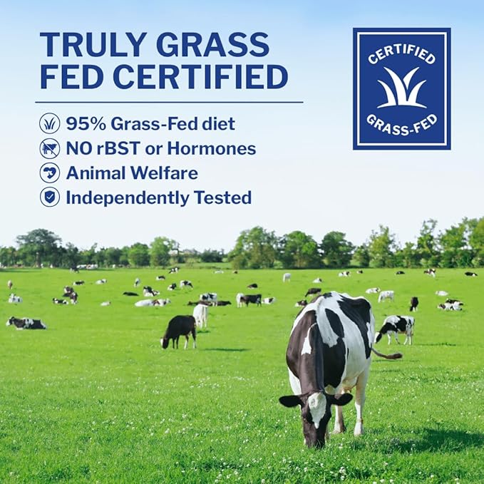 Opportuniteas Grass Fed Whey Protein Powder Concentrate - Chocolate - Pure Protein Supplement - Non GMO Hormone Free &amp Gluten Free - 1lb