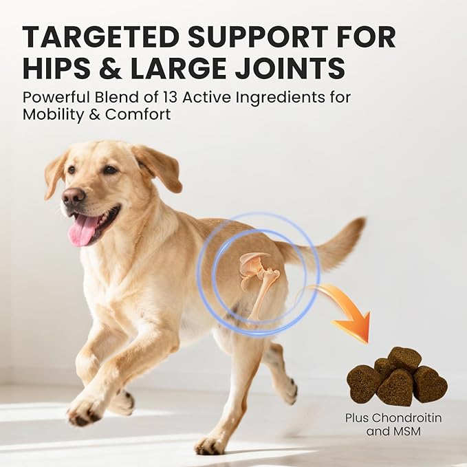 Dog Hip and Joint Supplement with Glucosamine &amp Chondroitin - Supports Mobility &amp Pain Relief for Senior &amp Large Dogs - 180 Soft Chews