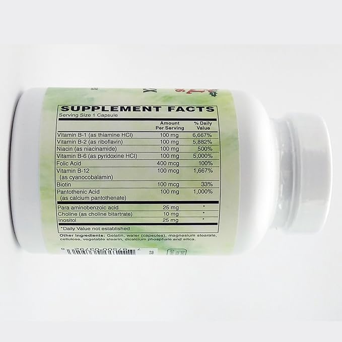 Holly Hill Health Foods B Complex 100 100 Capsules