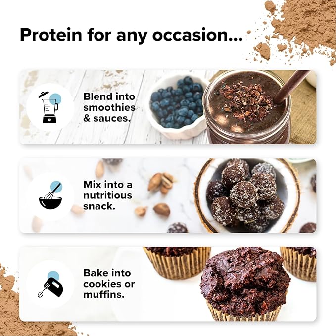Complement Creatine &amp Dual-Flavor Protein Bundle – Enhance Muscle Performance with Unflavored and Chocolate Plant-Based Protein Powders