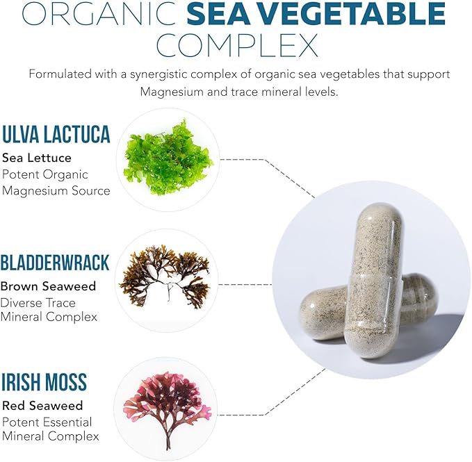 Organic Whole Food Magnesium Supplement - Plant-Based Organic Sea Vegetable Complex - 250 mg Per Serving | Water Extracted | Gentle on Stomach | Supports Energy Sleep Muscle Heart - 60 Capsules
