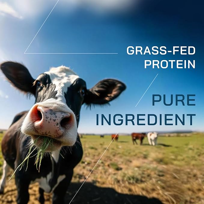 GOPOWER Whey Protein Powder with BCAAs Grass Fed Protein Powder 2 Pound 18 Servings