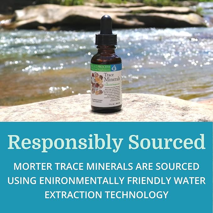 Morter Trace Minerals in Colloidal Suspension (2 Pack) Morter HealthSystem Best Process Alkaline — Nutrient Dense Trace Elements Fulvic Minerals &amp Amino Acids