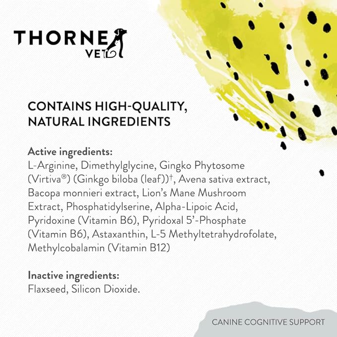 ThorneVet Canine Cognitive Support Powder for Dogs - Great Tasting Health Supplement with B Vitamins and Antioxidants to Support The Brain Health of Your Senior Dog - 90 Scoops
