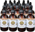 Hawaii Pharm Oregon Liquid Extract Oregon (Mahonia aquifolium) Tincture Herbal Supplement Made in USA 15x4 fl.oz