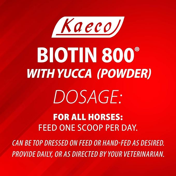BIOTIN 800 Powder 6LB D/S
