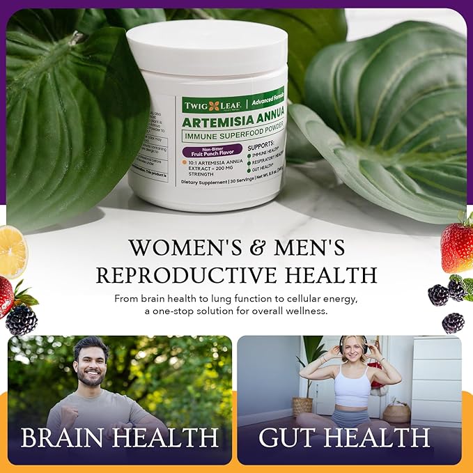 Artemisia Annua Sweet Wormwood Herbal Powder | Leaf Extract Brain Supports | Artemisinin Supplement | Sweet Wormwood Organic Extract | Non-GMO Vegan Gluten-Free | 30 Servings/8.5 Oz (240g)