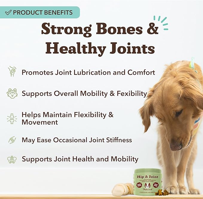 Natural Dog Company Hip &amp Joint Supplement Chew for Dogs – Supports Mobility Flexibility &amp Comfort Glucosamine Chondroitin MSM &amp Turmeric Chicken Flavor 90 Count