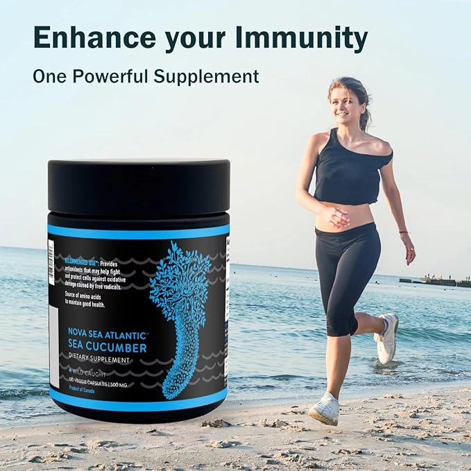 Wild Sea Cucumber Supplement Capsules Antioxidant Healthy Energy Supplement with Fucosylated Chondroitin Sulfate Collagen Glycosides Vitamins Minerals