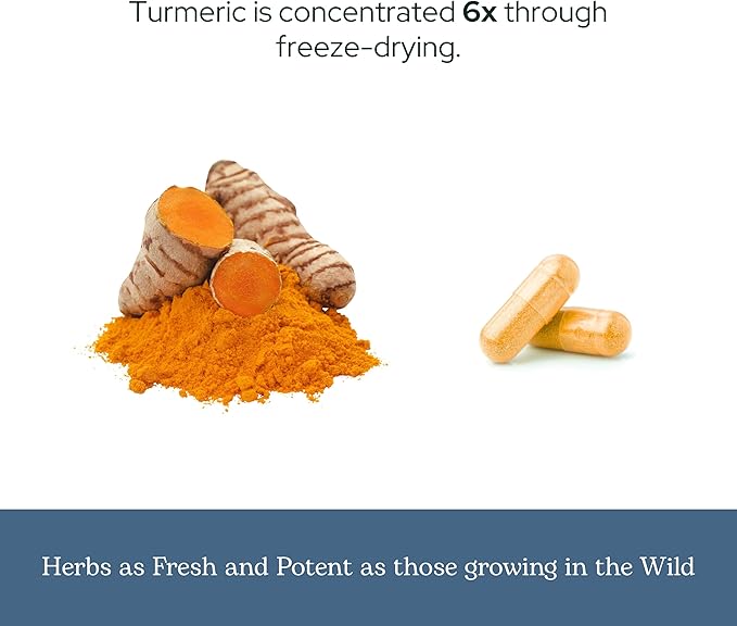 Eclectic Herb - Organic Turmeric Capsules | Musculoskeletal System &amp Joint Health Support | Herbal Supplement | Vegan Non-GMO Gluten Free Freeze-Dried (90 CT | 395 mg)