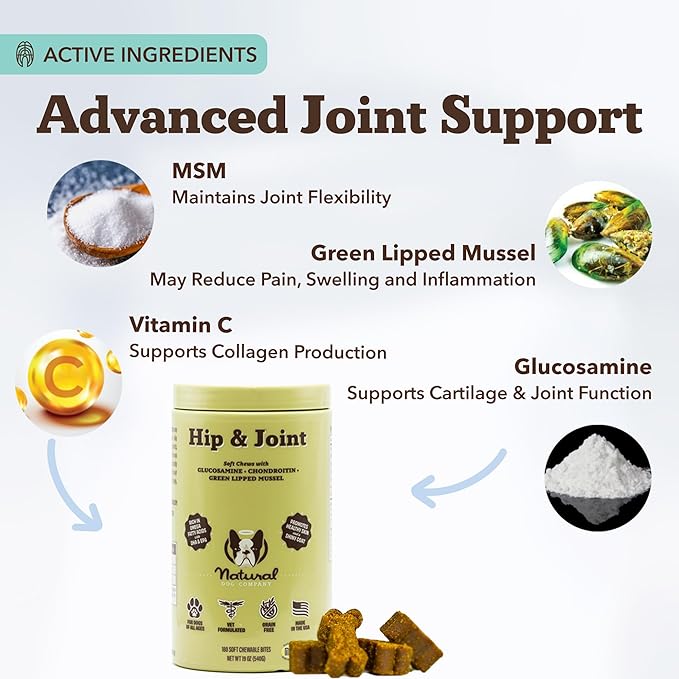 Natural Dog Company Hip &amp Joint Chews for Dogs with Glucosamine for Dogs + Chondroitin MSM &amp Turmeric Supports Mobility &amp Reduces Discomfort Stiffness Natural Pain Relief Joint Supplem