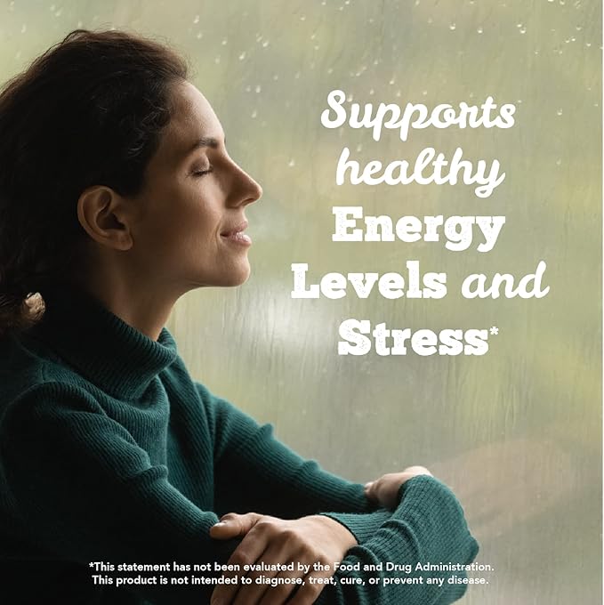 St. Francis Herb Farm Strest (3.4floz) USDA Certified Organic Ashwagandha Based Adaptogen Formula Targeted at Stress Relief (1 Bottle) GMO-Free Vegan Vegetarian.