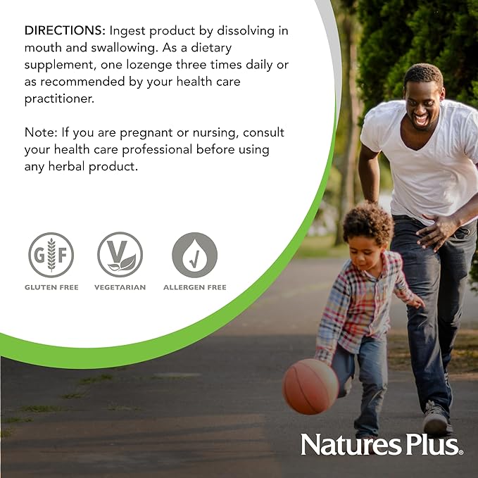 NaturesPlus Herbal Actives ImmunActin - 60 Zinc Lozenges Pack of 2 - Wild Cherry Flavor - Supports Immune Health - with Echinacea Elderberry &amp Olive Leaf - Gluten Free - 120 Total Servings