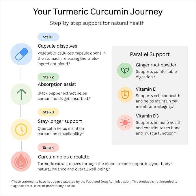 LivingRock Turmeric Curcumin 1300mg Triple Blend Formula with Ginger Black Pepper Quercetin Vitamin E &amp D3 Plant-Sourced Multi-Ingredient Complex 90 Vegan Capsules 30-Day Supply