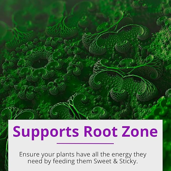 Humboldts Secret CalMag &amp Iron Supplement – Supports Vegetative and Flowering Stage (32 oz) w/Sweet &amp Sticky – Carbohydrate and Saccharide Energy Source – Energy for Plants (32 oz)