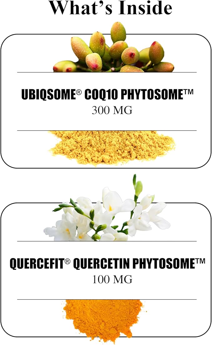 Durable CoQ10 – 300mg Coenzyme Q10 Phytosome with 9X Better Absorption + Quercetin – Heart Energy &amp Cellular Support – Doctor Formulated Vegan Non-GMO Made in USA Once-Daily (90 Capsules)