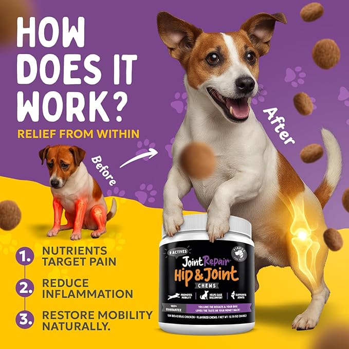 Joint Repair Dog Joint Supplement with Glucosamine for Dogs Chondroitin Omega 3 MSM Hemp &amp Turmeric. Supports Hip &amp Joint Health Mobility &amp New Cartilage. 120 Chicken Flavor Chews Ma