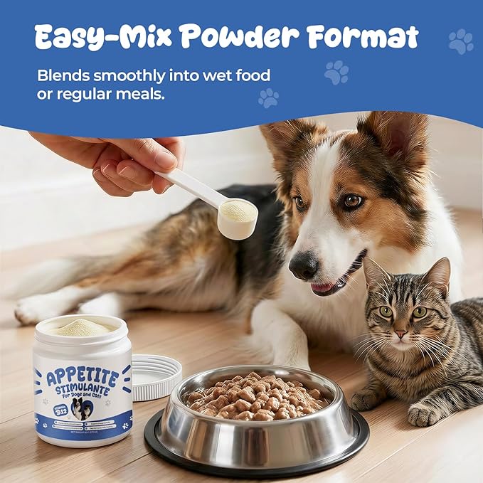 Appetite Stimulant Powder for Dogs &amp Cats Vitamin B12 Supplement with Methylcobalamin Supports Appetite Energy &amp Daily Vitality Dietary Supplement for Pets