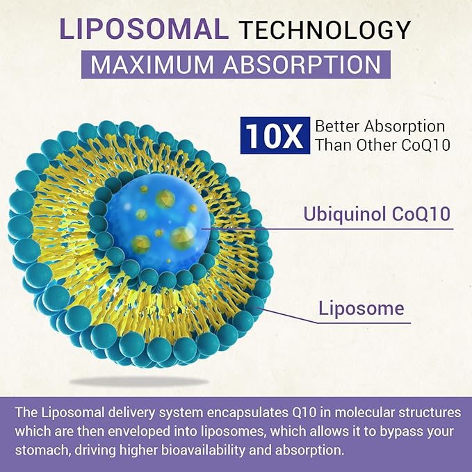 Liposomal Ubiquinol CoQ10 800 MG Softgel High Absorption CoQ10 Ubiquinol Supplement Active Coenzyme Q10 800mg Powerful Antioxidant for Heart &amp Brain Function Energy Production 240 Vegan Softg