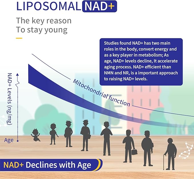 800MG Liposomal NAD+ with TMG 300MG Actual NAD+ Supplement Superior Absorption Boost NAD Plus for Cell Energy Healthy Aging and Muscle Repair 120 Capsules (Pack of 2)