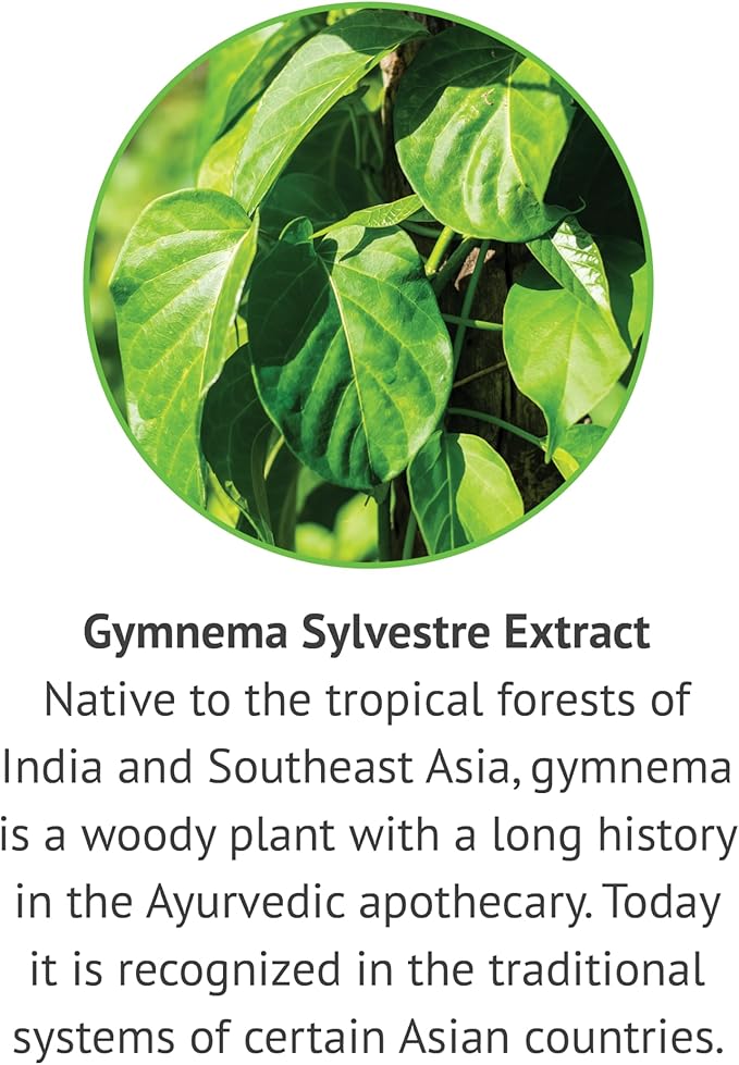 Botanic Choice Passion Flower Rosemary Leaf &amp Gymnema Sylvestre Extracts Bundle – Daily Overall Wellness Kit for Overall Wellbeing (1 fl. Oz. Each)