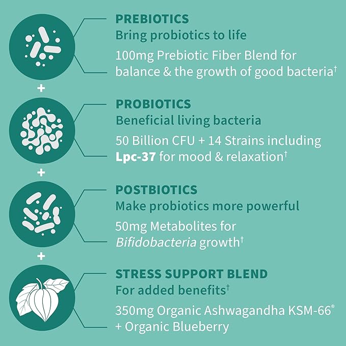 Garden of Life Dr. Formulated Pre Post &amp Probiotics Calm 50 Billion CFU Daily 3-in-1 Complete Supplement with Ashwagandha – Mood Support Digestive &amp Immune Support 30 Vegetarian Capsules