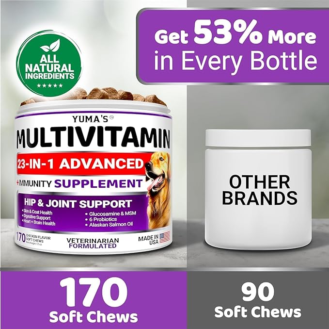 2-Pack Dog Multivitamin Chewable with Glucosamine - Dog Vitamins and Supplements - Senior &amp Puppy Multivitamin for Dogs - Hip &amp Joint Support - Immune Health Skin Heart Digestion Probiotic