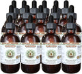 Hawaii Pharm Garcinia Alcohol-Free Liquid Extract Professional Grade Small Batch Garcinia Indica Dried Fruit Glycerite 15x4 oz
