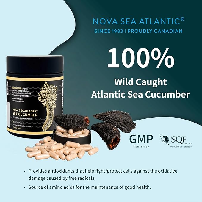 Sea Cucumber Supplement Wild Caught Sea Cucumber Capsules with Fucosylated Chondroitin Vitamins Mineral — Natural Antioxidant Supplement for Elderly Adult Child (Pack of 6)