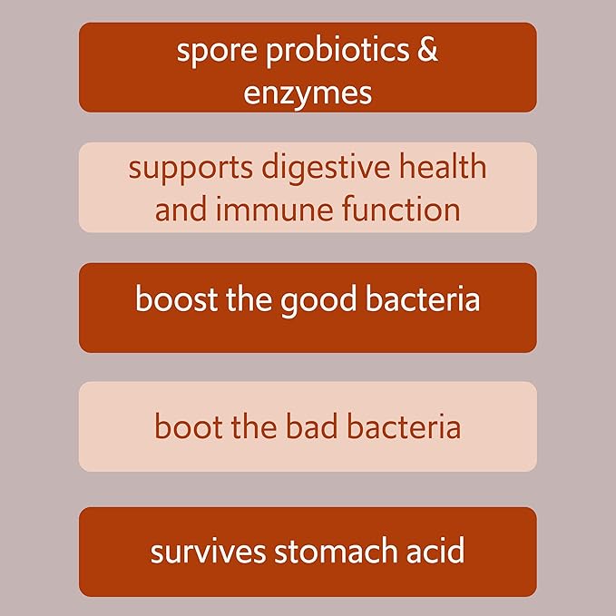Bacillus B3 Probiotic Complex &amp Enzymes – 100% Spore-Based Organisms - SBO - Better Survivability - Bacillus Coagulans Bacillus Subtilis &amp Bacillus Clausii - Non GMO - 60 Capsules