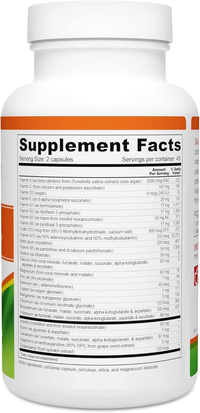 Wellness Resources Daily Energy Multiple Vitamin - 90 Capsules - Methylated Daily MTHFR Multivitamin Without Iron - Vitamin B12 Folate &amp Bioavailable B Vitamins - Best Supplement for Energy &amp