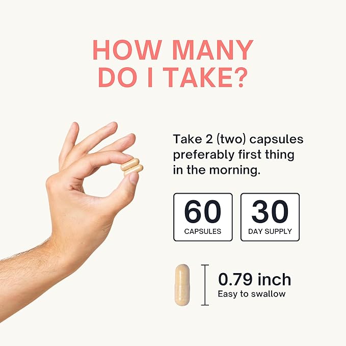 Nootropic Supplement - Focus Memory Booster Productivity &amp Energy Vitamins for Women &amp Men - Nootropics Brain Support Supplement with Vitamin B12 &amp L Tyrosine 60 Capsules