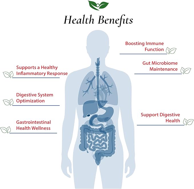 Bifidobacterium Longum Probiotic Powder 100 Billion cfu's | Made in USA | No Additives | Direct from Manufacturer | No Third-Party Storage | Immune Support | B. Longum | 100 Grams (3.52 Oz)