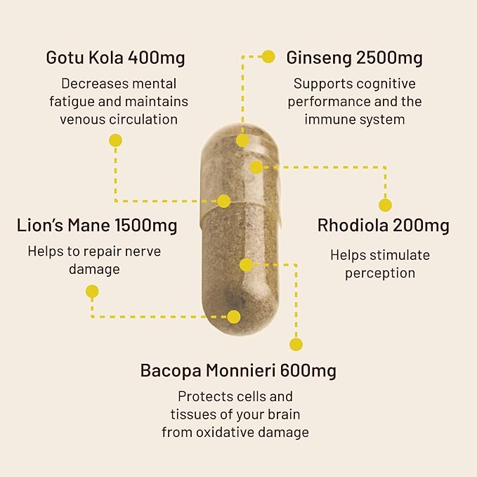 Vegan Vitality Brain Nutrition Bundle - Lions Mane Nootropic Capsules and Vegan Multivitamins. High Strength Plant-Based Supplements for Memory and Focus and Overall Health for Vegans and Vegetarians