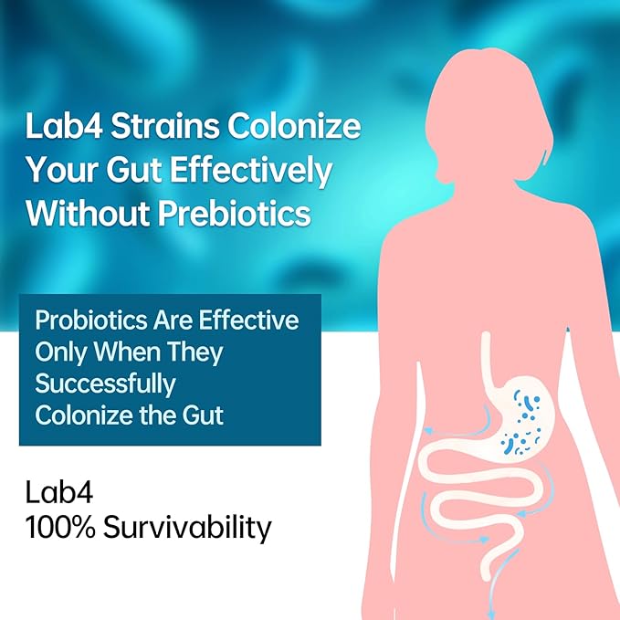 Digestive Probiotics 20X Lab4 Strains for Gut &amp Immune Health Pro Formula for Men &amp Women Probiotic Capsules Support Diarrhea Bloating and Gas Shelf Stable Vegan Gluten Free 60 Days Sup