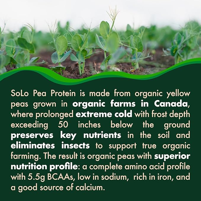 SOLO Organic Pea Protein Isolate Low in Sodium Canada Grown Peas 100% Vegan Non-GMO Unflavored Plant Based Protein Powder with BCAA Keto &amp Paleo Friendly Easy to Digest No Additives (2.7 l