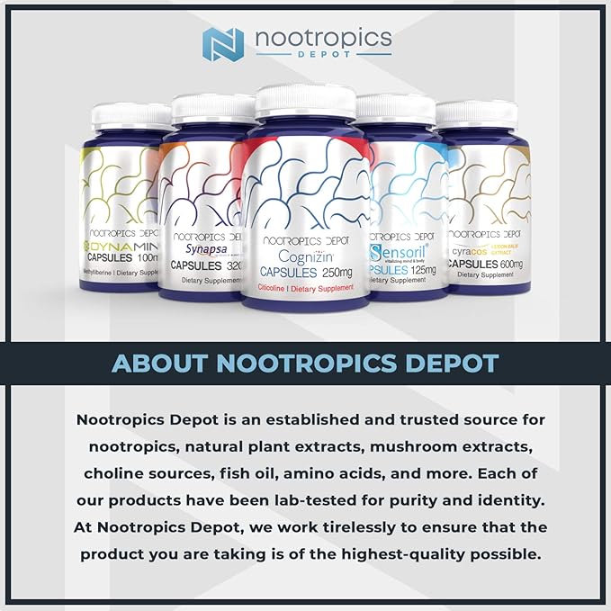 Nootropics Depot Creatine Monohydrate 200 Mesh Powder 500 Grams