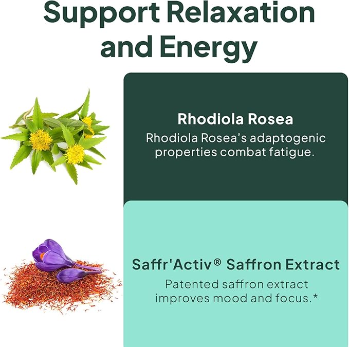 Organics Ocean Chill Buttons – Natural Ashwagandha Gummy Supplement with Organic KSM-66 Saffron &amp Rhodiola Rosea – Supports Relaxation Mood Focus &amp Energy - 1-Pack 60 Count