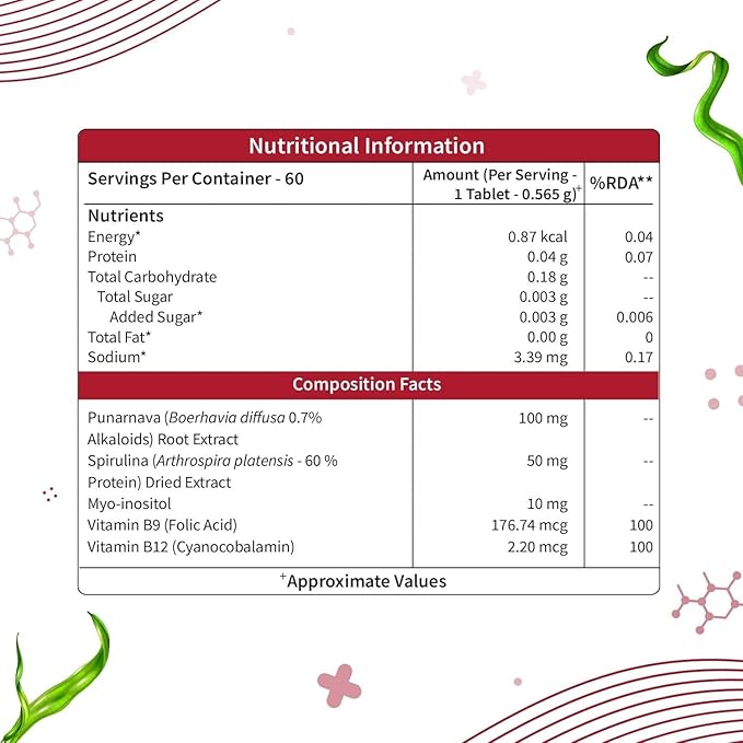 Plant-Based True B12 Supplements for Men &amp Women | with Myo-inositol Folic Acid &amp Spirulina | Supports Energy Brain Health &amp Better Absorption (60 Tablets)
