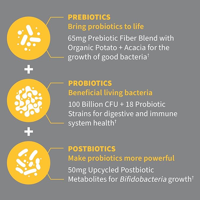 Garden of Life Dr Formulated Probiotics 100 Billion CFU Pre + Pro + Postbiotics - Extra Strength Digestive &amp Immune Support for Men and Women Potato Acacia Postbiotic Metabolites 30 Capsules