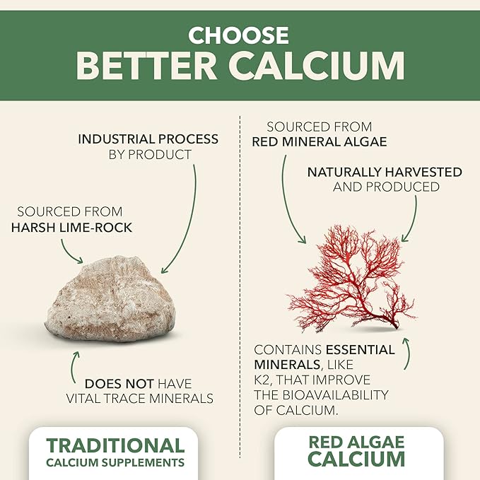 PlantFusion Vegan Calcium Premium Plant Based Calcium (1000mg) Sourced from Icelandic Red Algae Plus Magnesium D3 K2 and Boron 90 Vegan Tablets