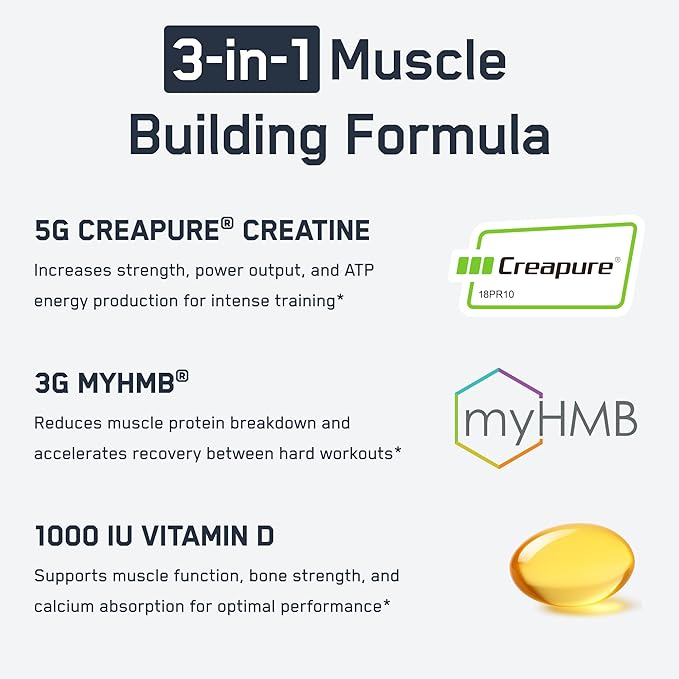 SteelFit Creatine HMB Powder - 5g Creapure Creatine Monohydrate Powder 3g myHMB &amp 1000 IU Vitamin D - Workout Supplement Supports Muscle Growth Strength Recovery &amp Energy - Unflavored 30 S