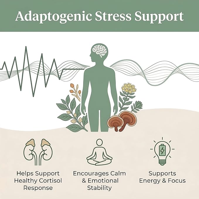 Ashwagandha Gummies with Ashwagandha Root Extract 60 Count Natural Stress Relief &amp Mood Support Vegan Non-GMO Gluten Free Herbal Supplement Pack of 1